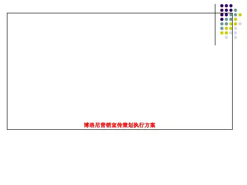 博洛尼营销宣传策划执行方案