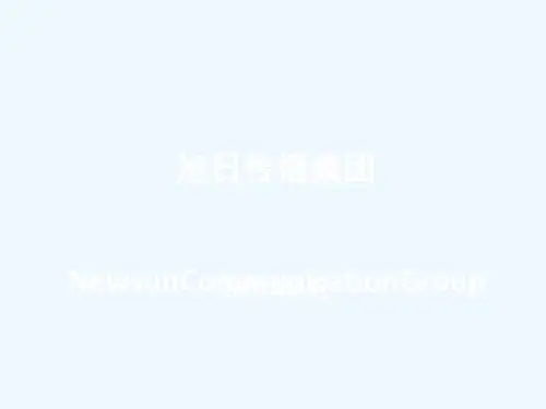 立白品牌策略-4A广告公司方案