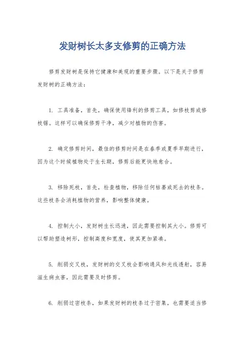 发财树长太多支修剪的正确方法