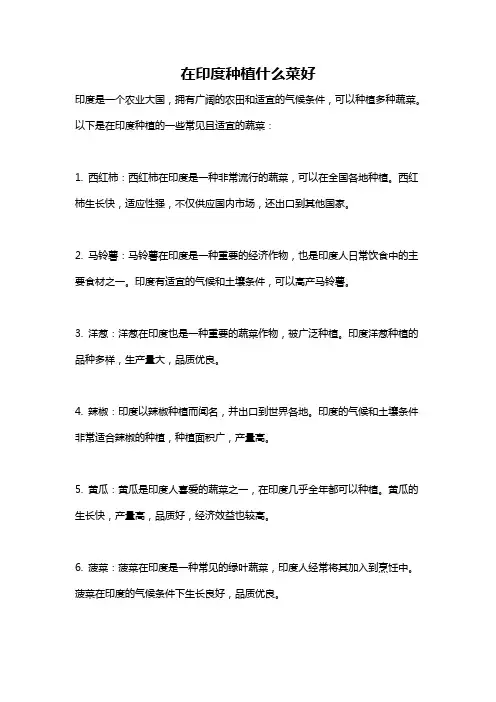 在印度种植什么菜好