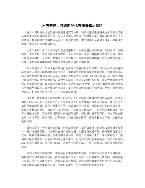六美共建,打造新时代美丽城镇示范区