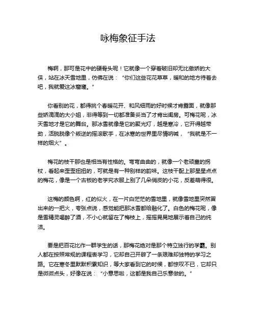 咏梅象征手法