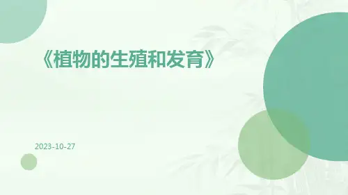植物的生殖和发育