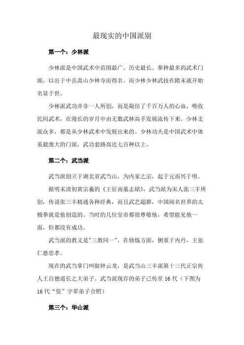 最现实的中国派别