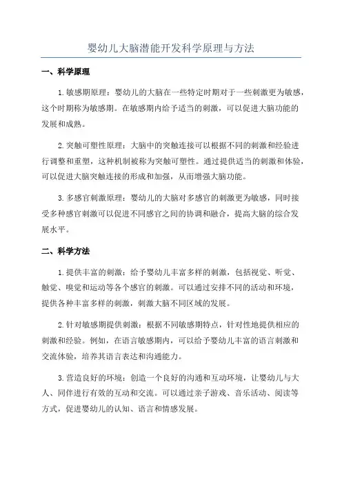 婴幼儿大脑潜能开发科学原理与方法