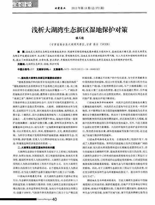 浅析大湖湾生态新区湿地保护对策