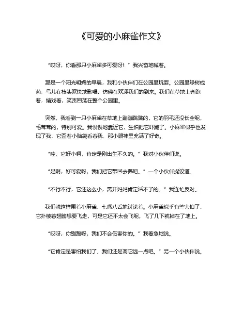 《可爱的小麻雀作文》