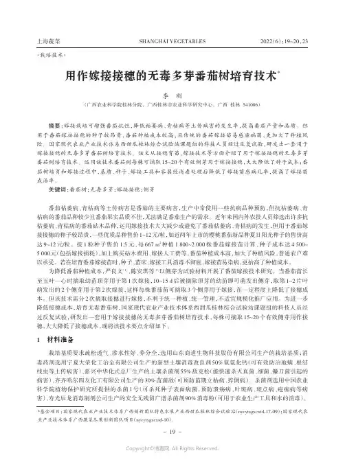 用作嫁接接穗的无毒多芽番茄树培育技术