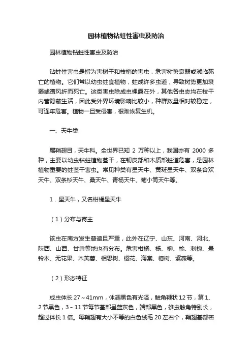 园林植物钻蛀性害虫及防治
