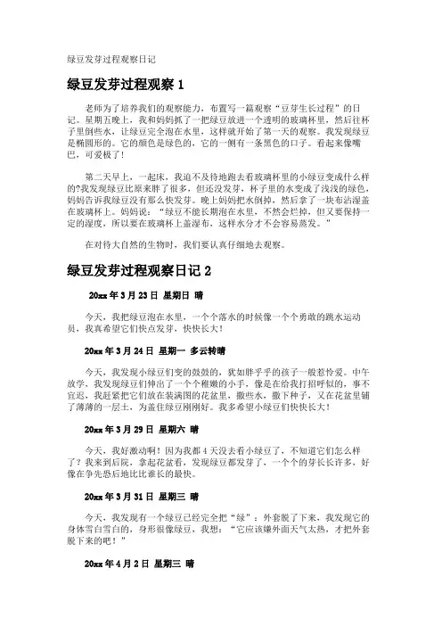 绿豆发芽过程观察日记