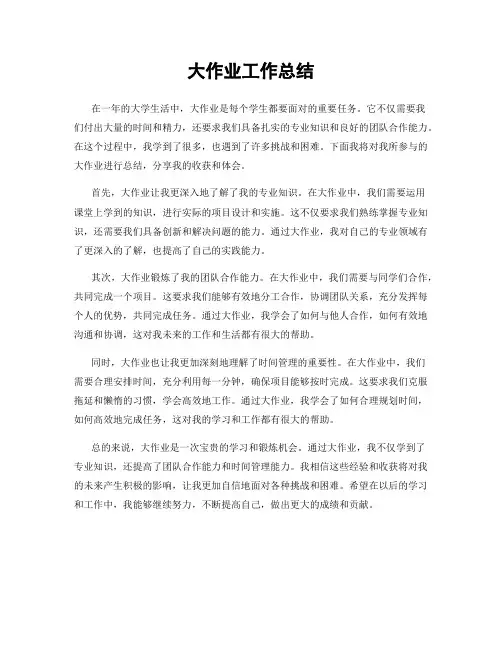 大作业工作总结