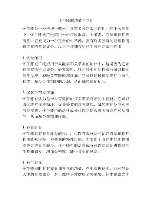 怀牛膝的功效与作用