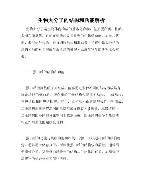 生物大分子的结构和功能解析