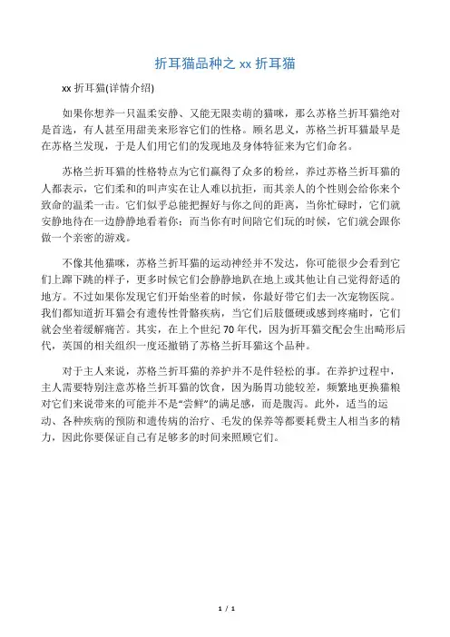折耳猫品种之苏格兰折耳猫
