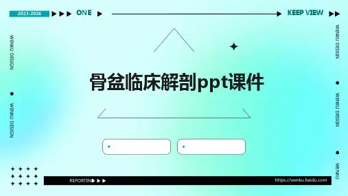 骨盆临床解剖PPT课件