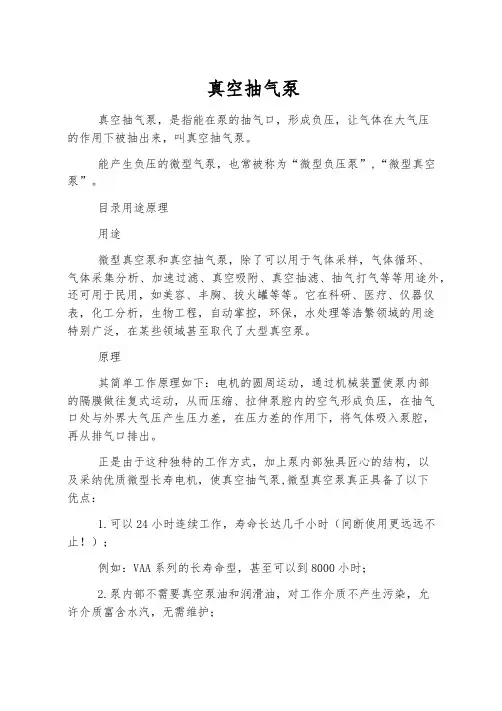 真空抽气泵