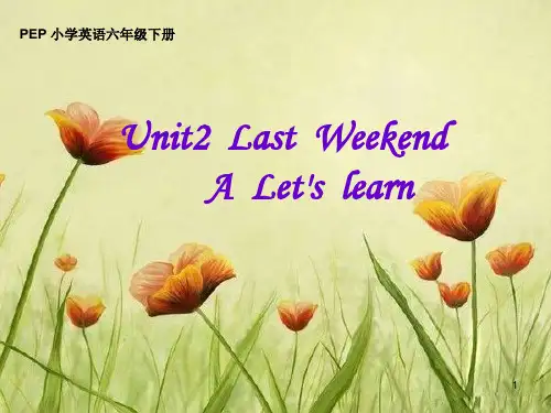 新人教版pep小学六年级下册unit2 Last Weekend