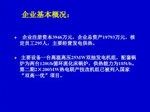 某电厂能源审计案例【南阳