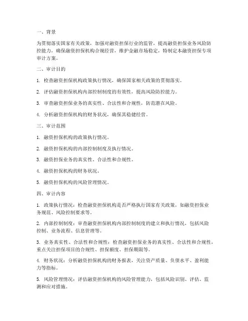 融资担保专项审计方案