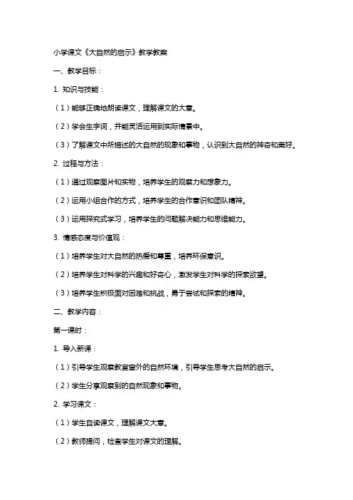 小学课文《大自然的启示》教学教案