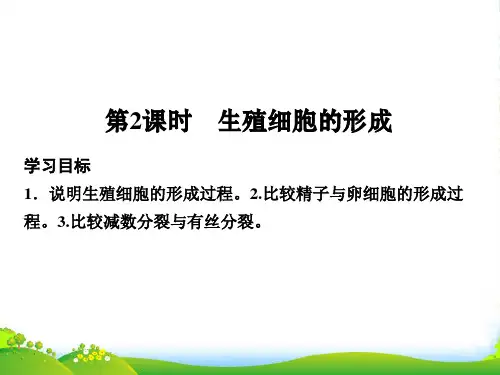 同步备课一体资料之生物苏教必修2课件：第二章 减丝分裂和有性繁殖 第2课时
