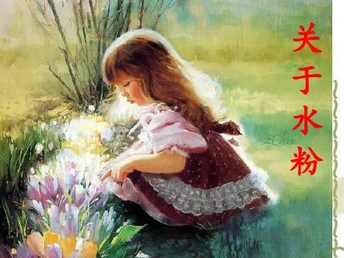 色彩静物 教学课件