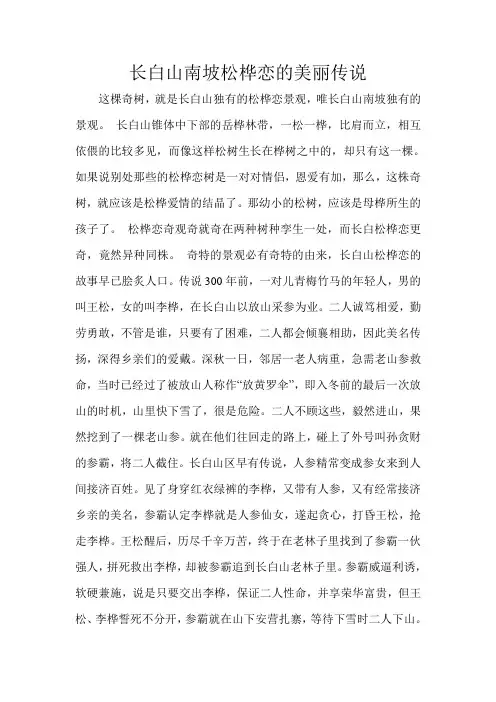 长白山南坡松桦恋的美丽传说