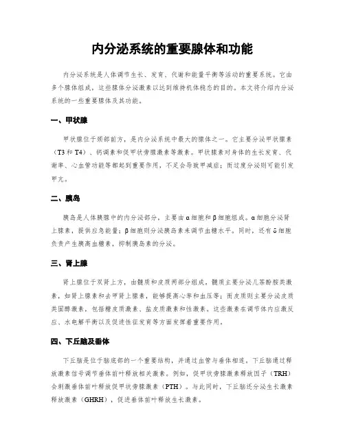内分泌系统的重要腺体和功能