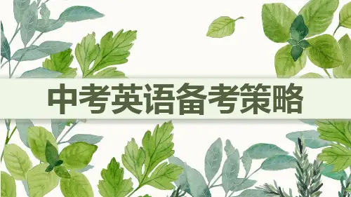 2024年广东省深圳市龙华区九年级英语 中考备考 复习策略 教学PPT课件
