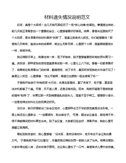 材料遗失情况说明范文