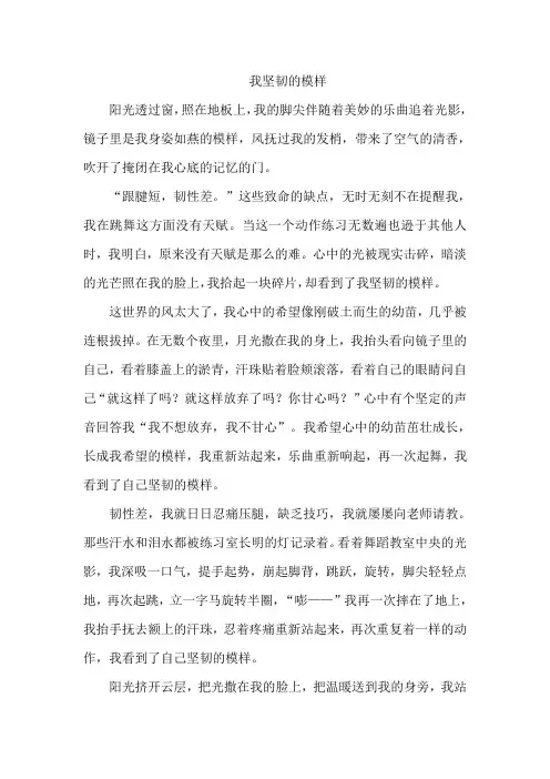 以坚韧为话题作文700字