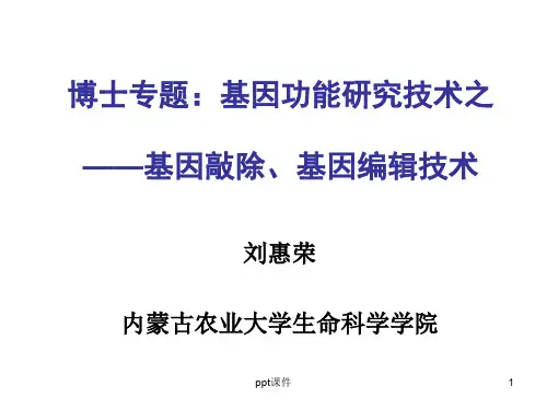 博士专题：基因功能研究技术之基因敲除及基因编辑技术  ppt课件