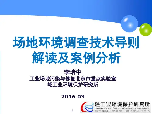 场地环境调查技术方法与案例分析(课堂PPT)