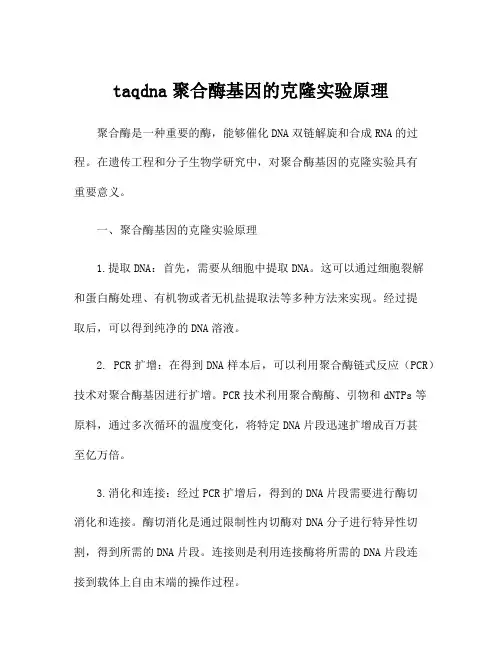 taqdna聚合酶基因的克隆实验原理