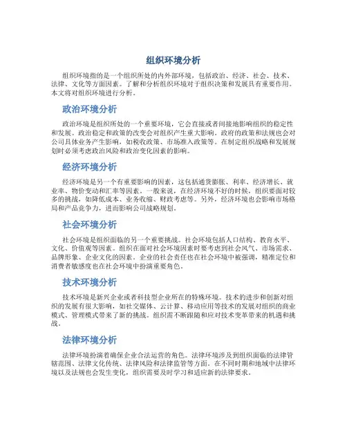 组织环境分析