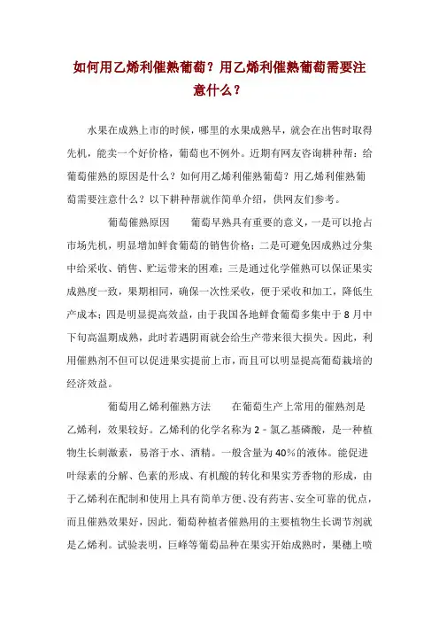 如何用乙烯利催熟葡萄？用乙烯利催熟葡萄需要注意什么？ 