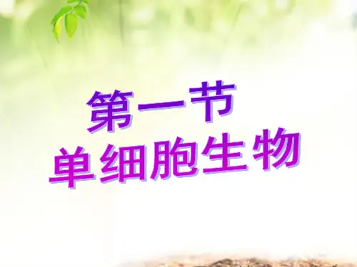 苏教版生物七上2.4.1 单细胞生物 同步课堂课件(共21张PPT)