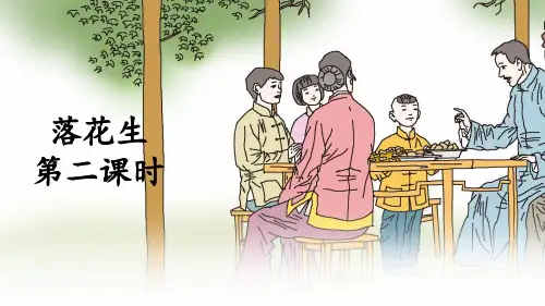 《落花生》教学课件1(第二课时)