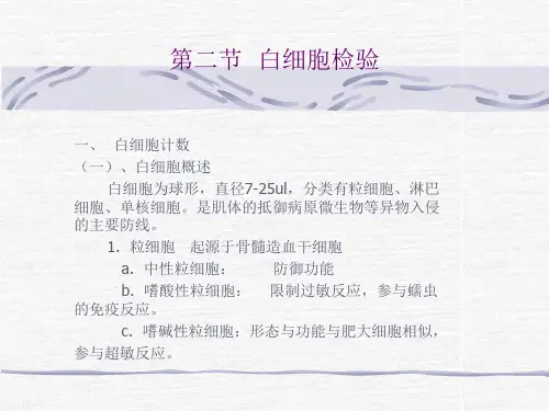 白细胞检验
