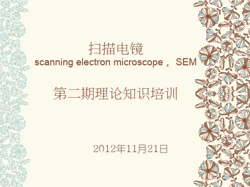 扫描电镜第二期理论知识培训