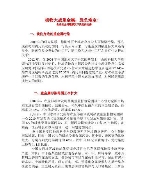 有毒大米海报