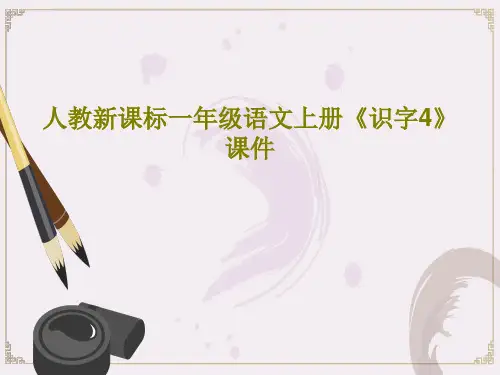 人教新课标一年级语文上册《识字4》课件共29页