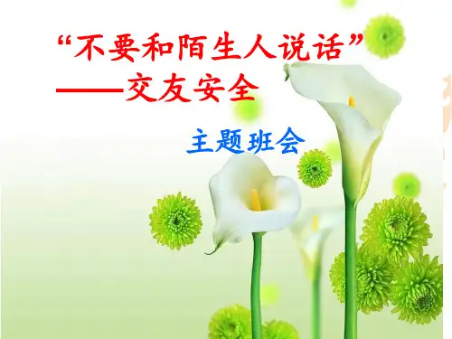 交友安全PPT课件