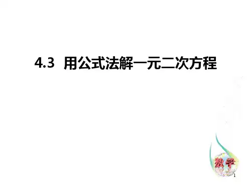 数学 1用公式法解一元二次方程-课件