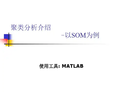 聚类分析介绍以SOM为例