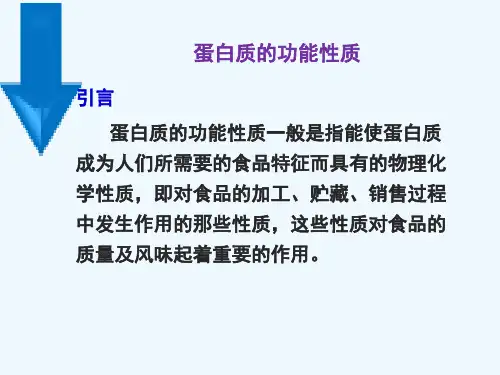 蛋白质的功能性质