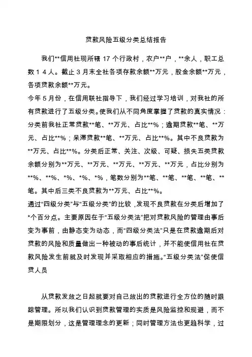 贷款风险五级分类总结报告
