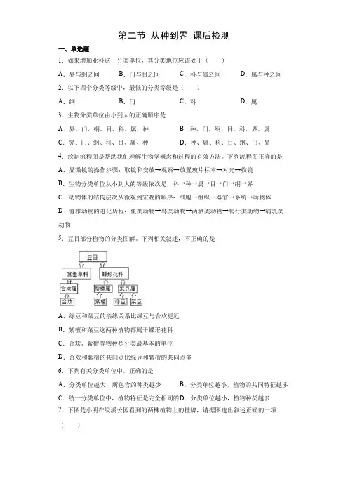 6.1.2从种到界(练习)(原卷版)