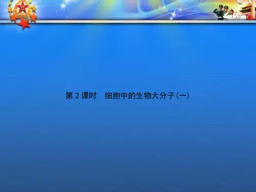 高中生物第2单元细胞的化学组成第2课时细胞中的生物大分子一复习课件苏教版必修21.ppt