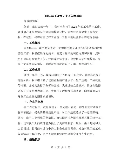 2024年工业统计个人年终总结